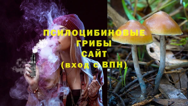 прущая мука Ладушкин