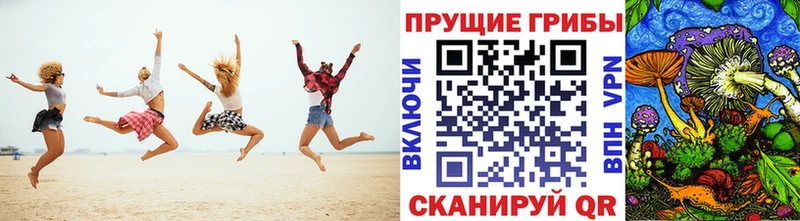 Купить закладки  Абинск  Псилоцибиновые грибы MAGIC MUSHROOMS 